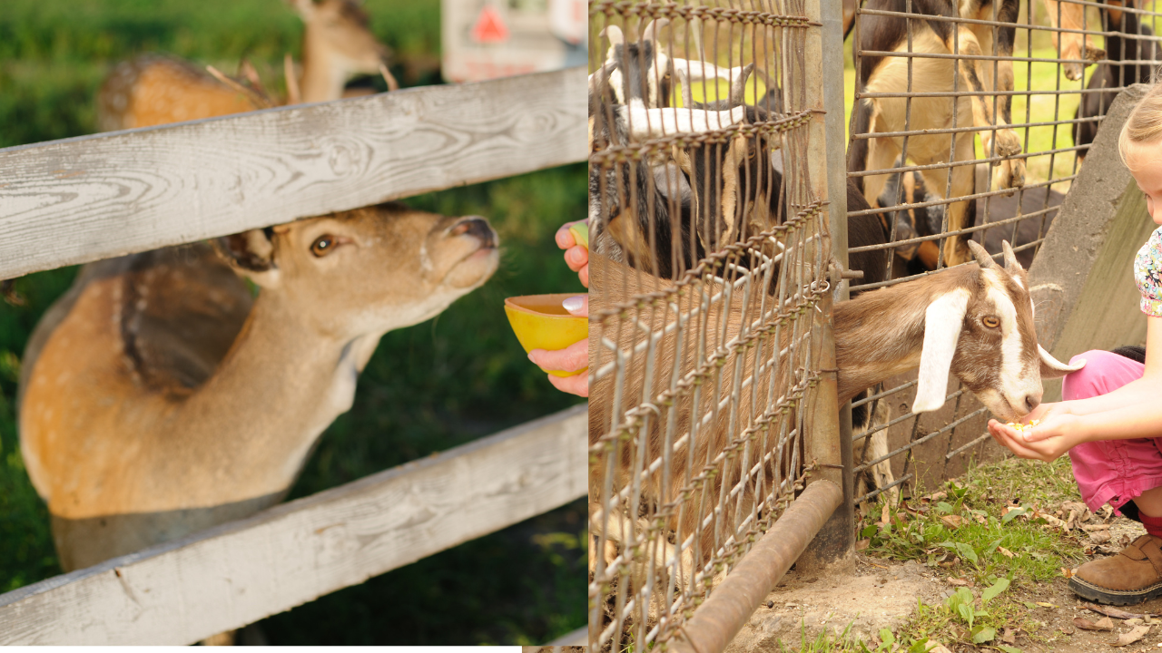 Beziehung und Vertrauen